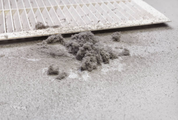 Best Local Air Duct Cleaning Services  in Central, SC